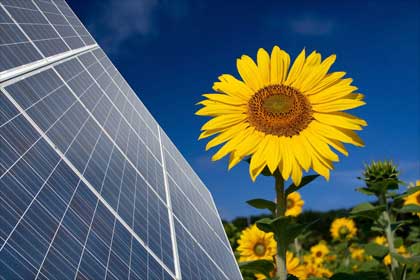 Senado pode aumentar prazo para microgeradores serem integrados à distribuidora de energia