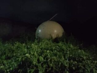 Esfera misteriosa cai sobre árvore no México e levanta suspeitas na internet