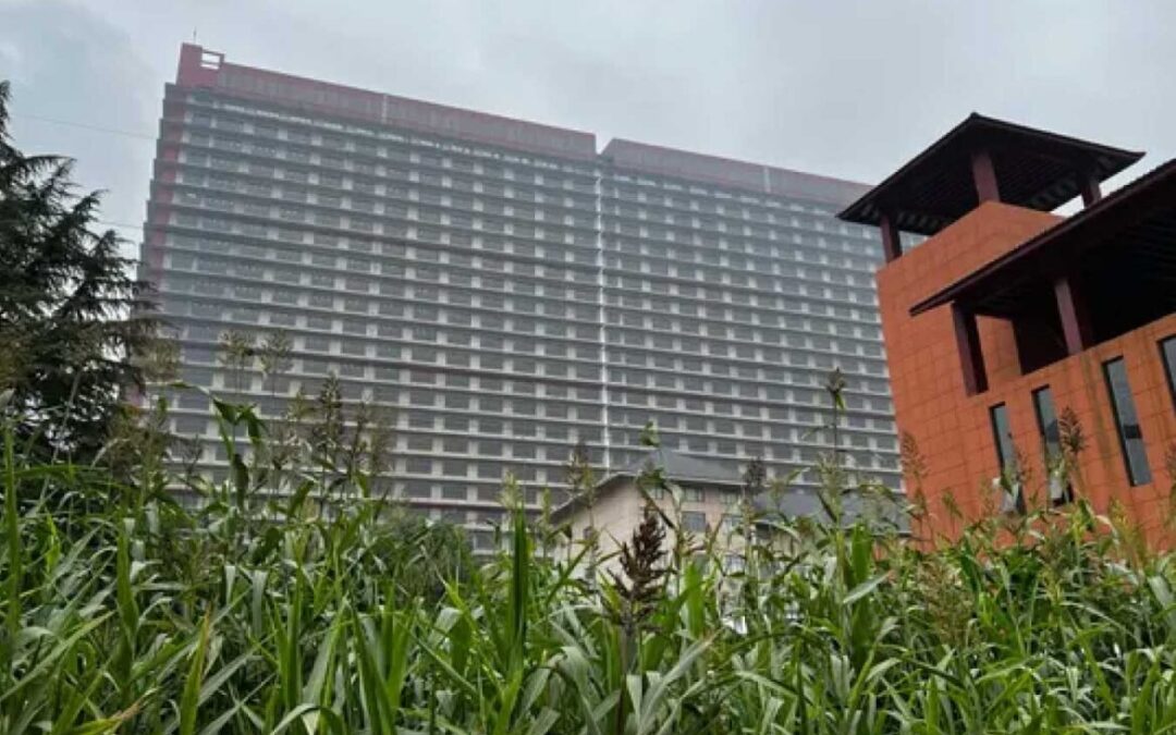 Fazenda vertical de 26 andares é inaugurada na China