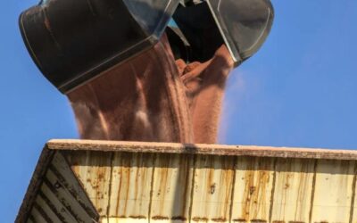 Preço de fertilizantes no Brasil cai em junho, aponta levantamento