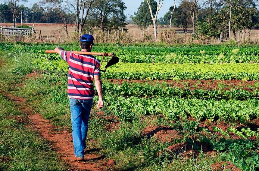 Projeto institui em lei o Selo Nacional da Agricultura Familiar