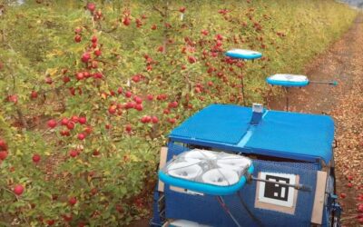 Robôs voadores sendo usados para colher frutas