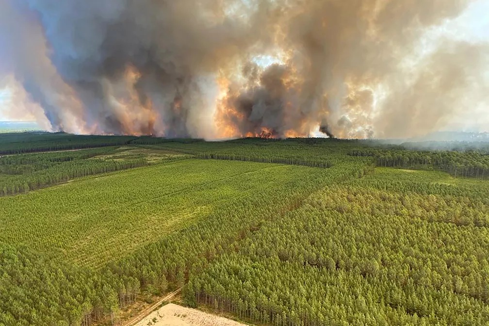 Onda de calor na Europa: países enfrentam incêndios florestais, temperaturas recordes e poluição
