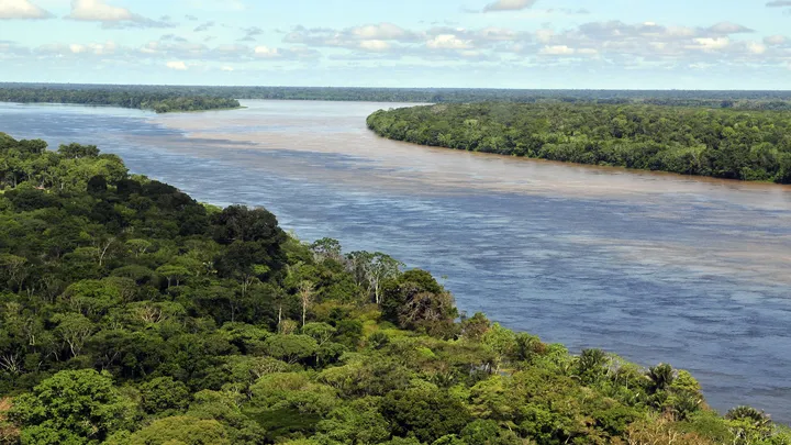 Desmatamento na Amazônia em janeiro foi 61% menor que em 2022