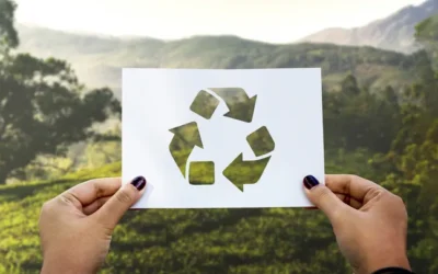 Startup brasileira é premiada entre os melhores projetos ambientais do mundo