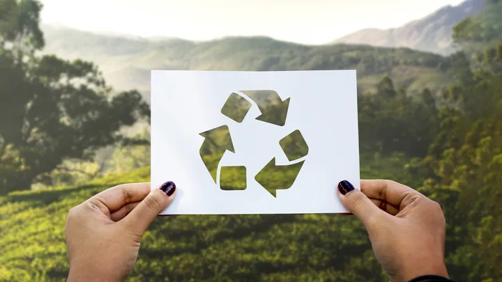 Startup brasileira é premiada entre os melhores projetos ambientais do mundo