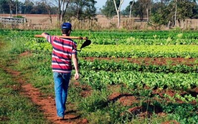 Nova lei destina recursos para projetos de ciência e tecnologia e apoio a produtores rurais