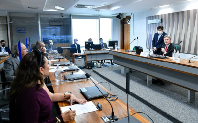 Aprovada em comissão, Lei Marília Mendonça obriga sinalização de torres de energia