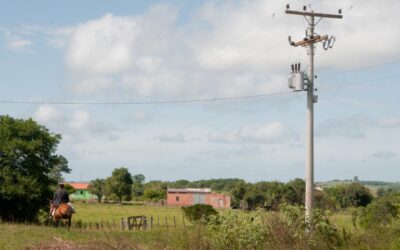 Medida provisória altera prazo para inscrição no Cadastro Ambiente Rural