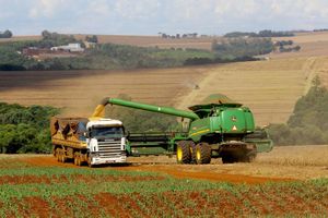 Vetada proposta que previa auxílio emergencial para agricultor familiar