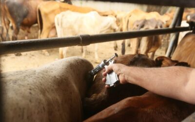 Indústria Agropecuária terá que criar seu próprio programa de fiscalização