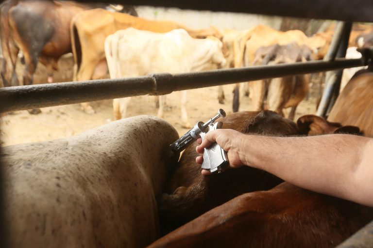 Indústria Agropecuária terá que criar seu próprio programa de fiscalização