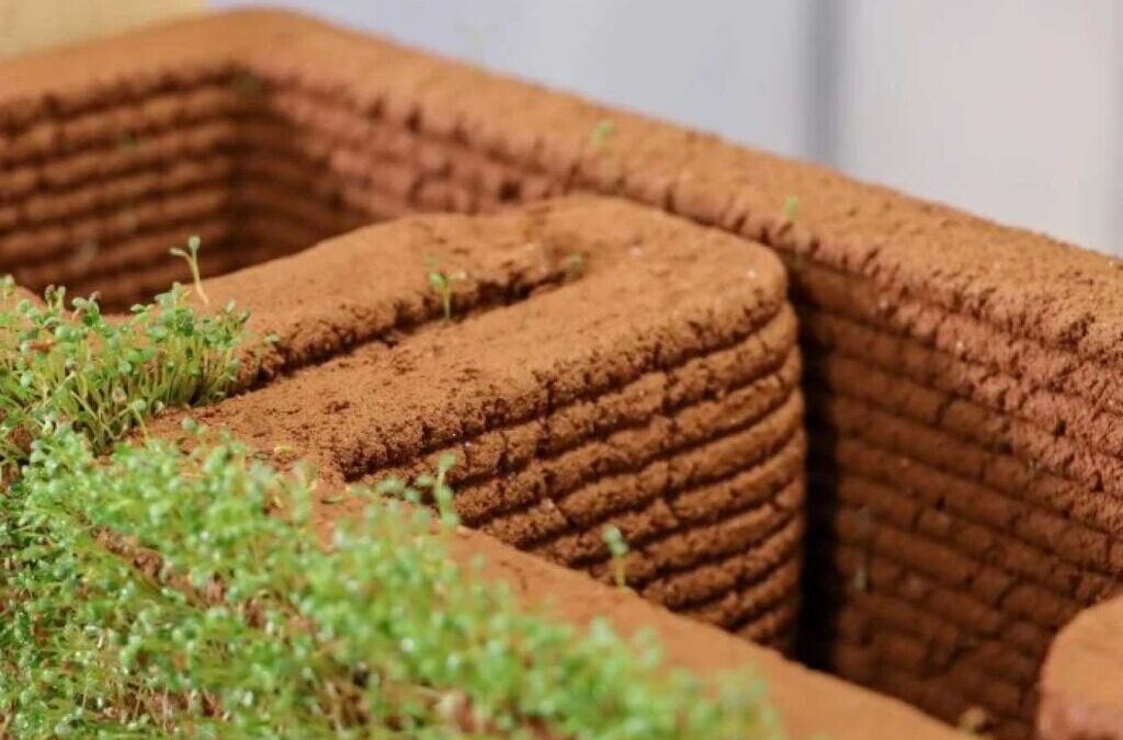 Universidade norte-americana desenvolve impressão 3D de solo `vivo`