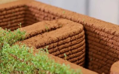 Universidade norte-americana desenvolve impressão 3D de solo `vivo`