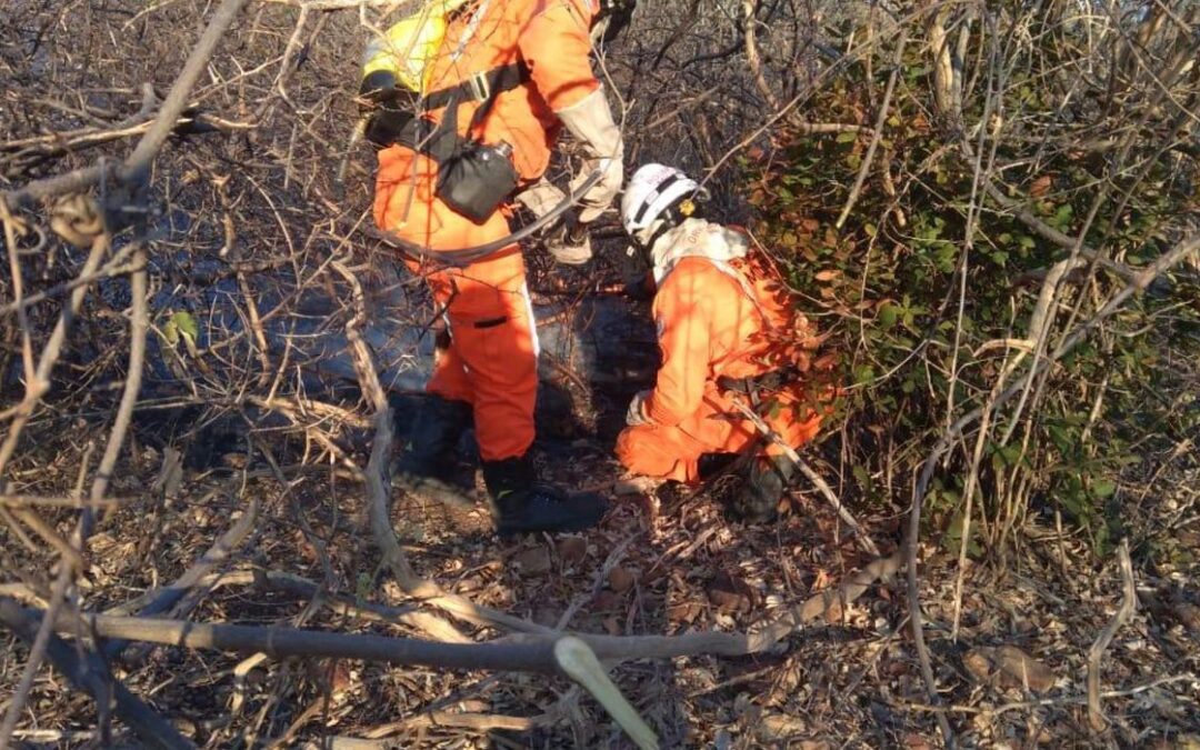 Meteorologia alerta para riscos da seca em seis estados