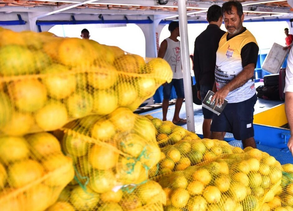 Lei incentiva o consumo da produção agrícola regional