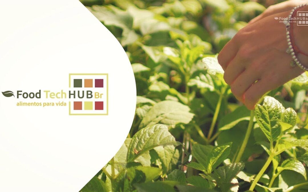 Bayer e Food Tech Hub BR lançam desafio para foodtechs