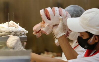 Semana do Pescado incentiva temporada de consumo no segundo semestre