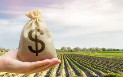 BNDES reabre linhas e anuncia mais crédito rural para safra 22/23