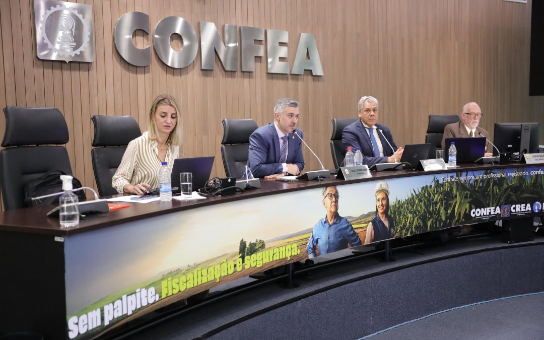 Plenário do Confea aprova regimento do Cden e acordo com o MGI