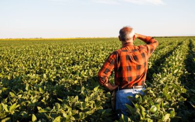 CAE pode votar na terça parcelamento de dívidas de produtores rurais
