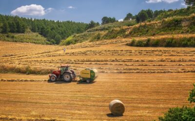CMN aprova condições das linhas de crédito do Plano Safra 2022/2023