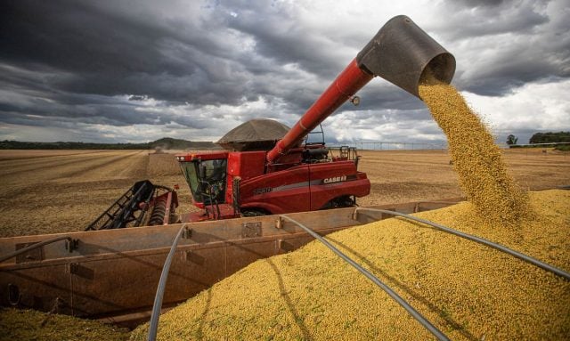 IBGE prevê safra recorde para o próximo ano