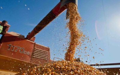 Produção agrícola em 2020 bate novo recorde e atinge R$ 470,5 bilhões