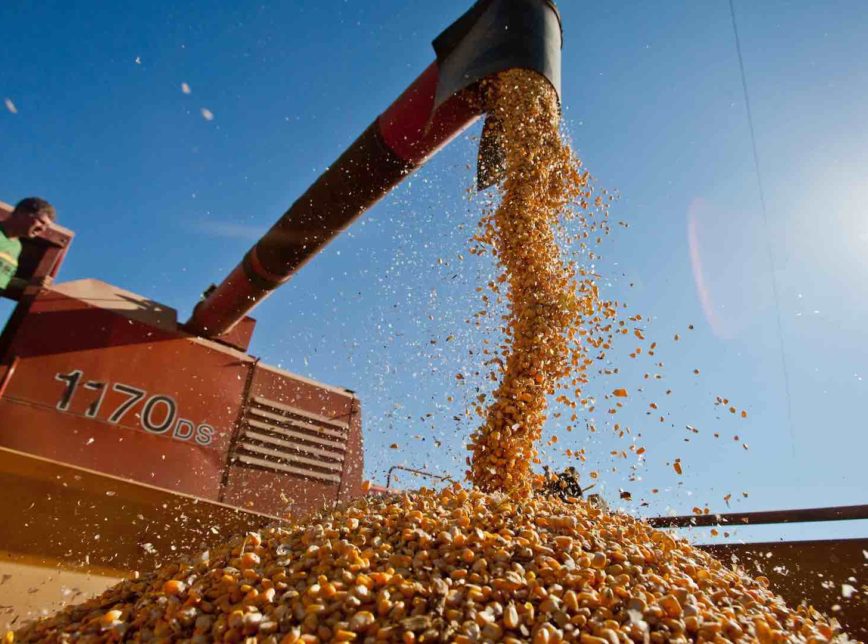 Produção agrícola em 2020 bate novo recorde e atinge R$ 470,5 bilhões