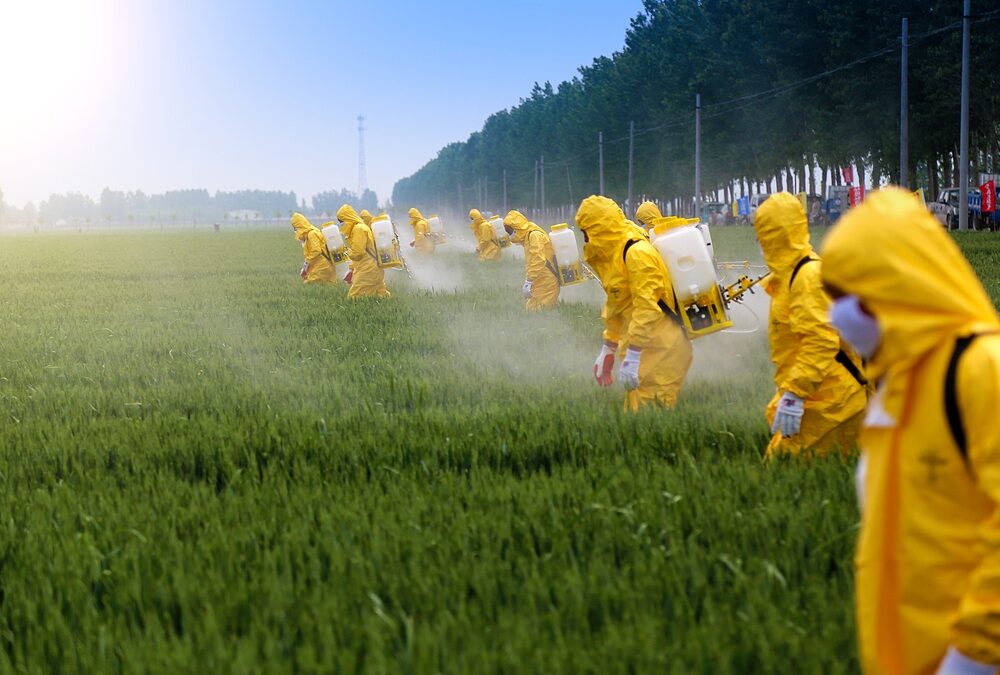 TCU aponta falhas de Ministério da Agricultura, Ibama e Anvisa no registro de agrotóxicos