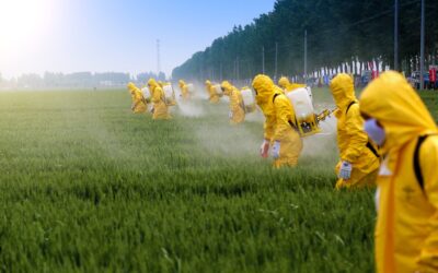 TCU aponta falhas de Ministério da Agricultura, Ibama e Anvisa no registro de agrotóxicos