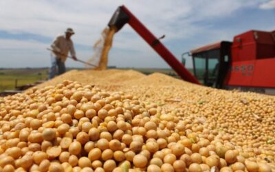 País deve colher 142,05 milhões de t de soja, aponta 3ª estimativa da Datagro