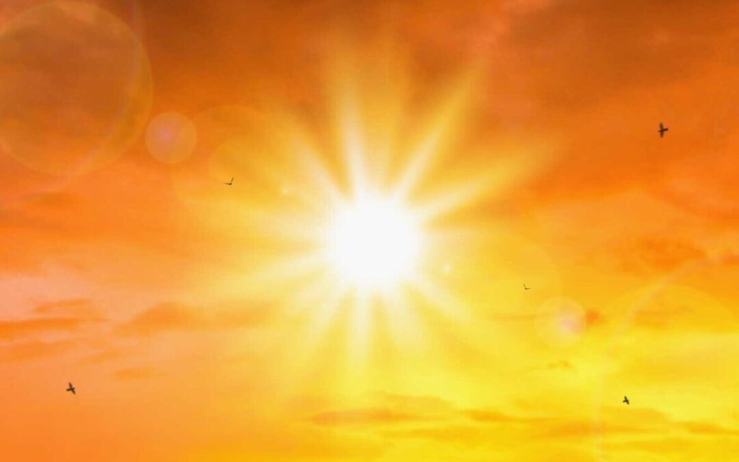 Engenheiros do Novo México criam dispositivo para preparar alimentos com energia solar