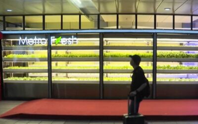 Taiwan transforma estações de metrô em fazendas orgânicas
