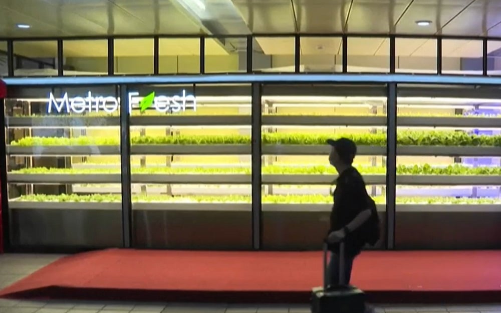 Taiwan transforma estações de metrô em fazendas orgânicas