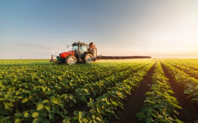 Começa hoje prazo para declarar imposto sobre propriedade rural