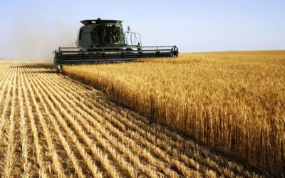 Brasil lidera produtividade agropecuária entre 187 países, aponta estudo