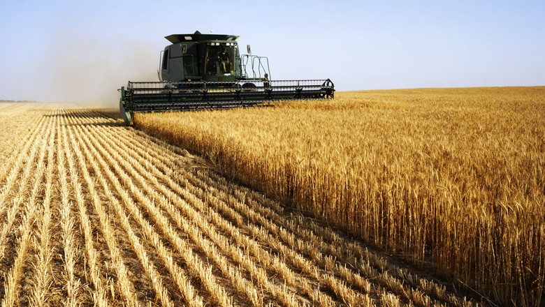 Brasil lidera produtividade agropecuária entre 187 países, aponta estudo