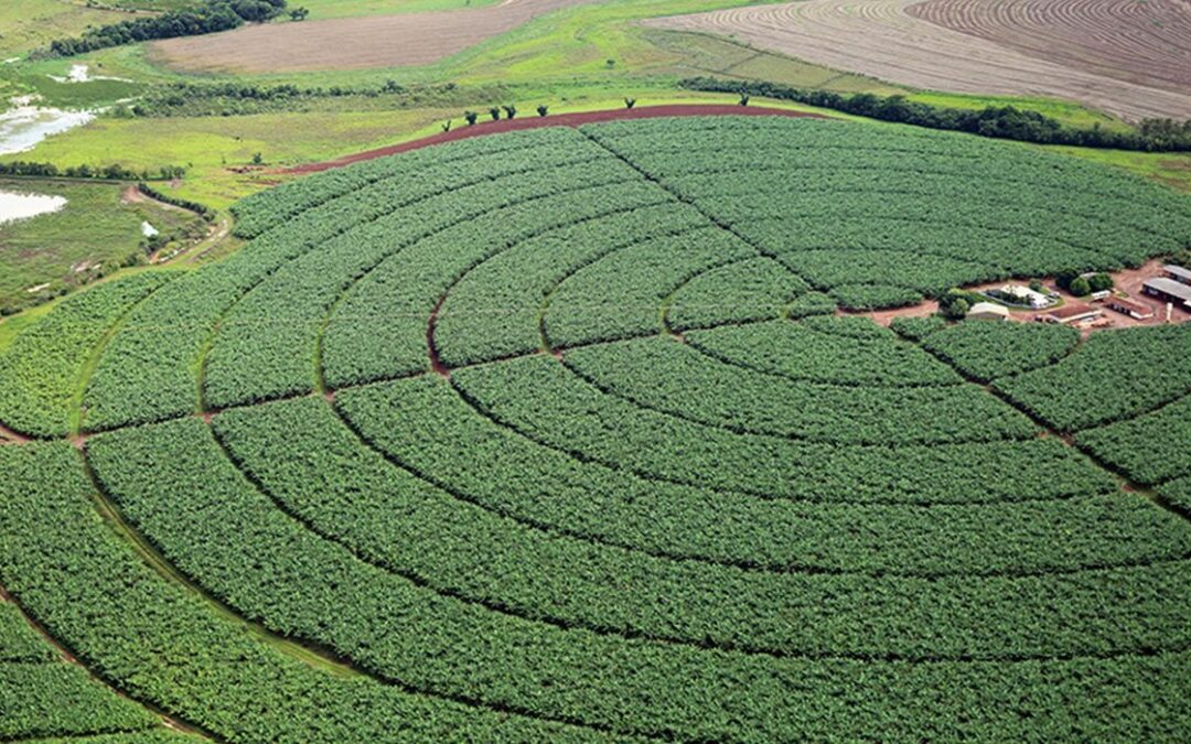 Senado aprova MP que aumenta garantias para setor agro captar recursos