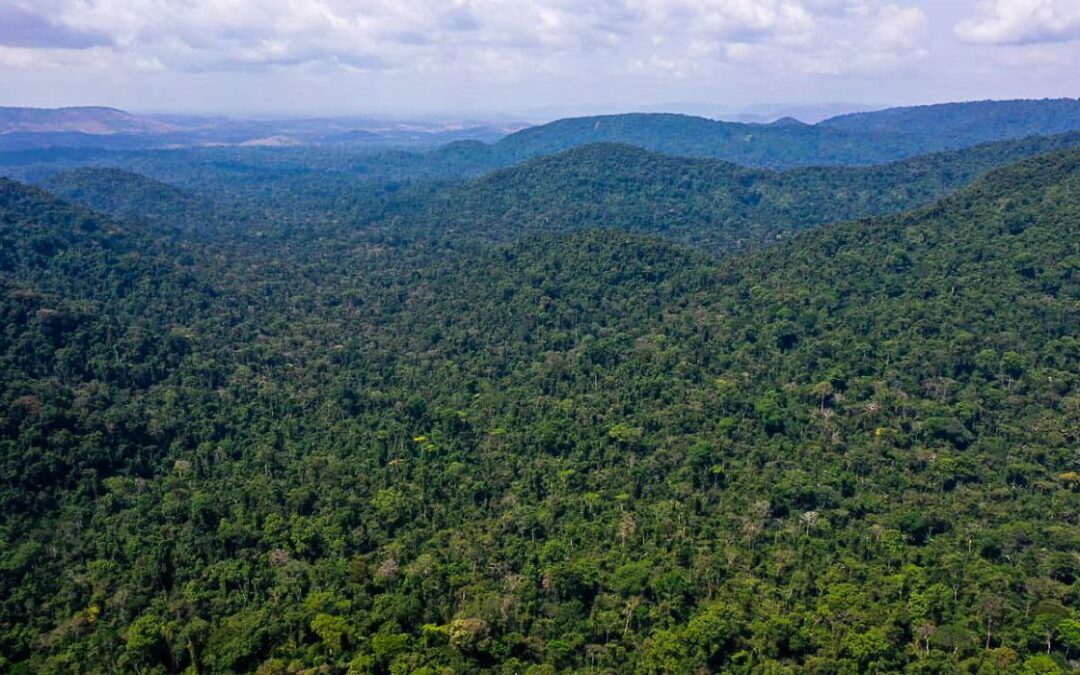 Unesco e Amazonas lançam plano de ação para Amazônia Central