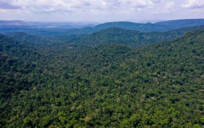 Unesco e Amazonas lançam plano de ação para Amazônia Central