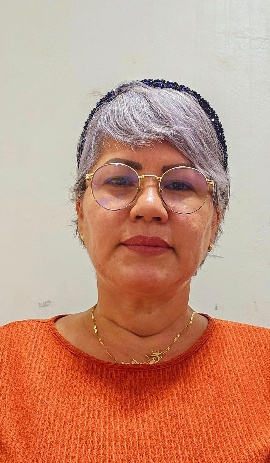 Inspetor ENG. CIV FATIMA JORDANIA GOMES DE ARAUJO